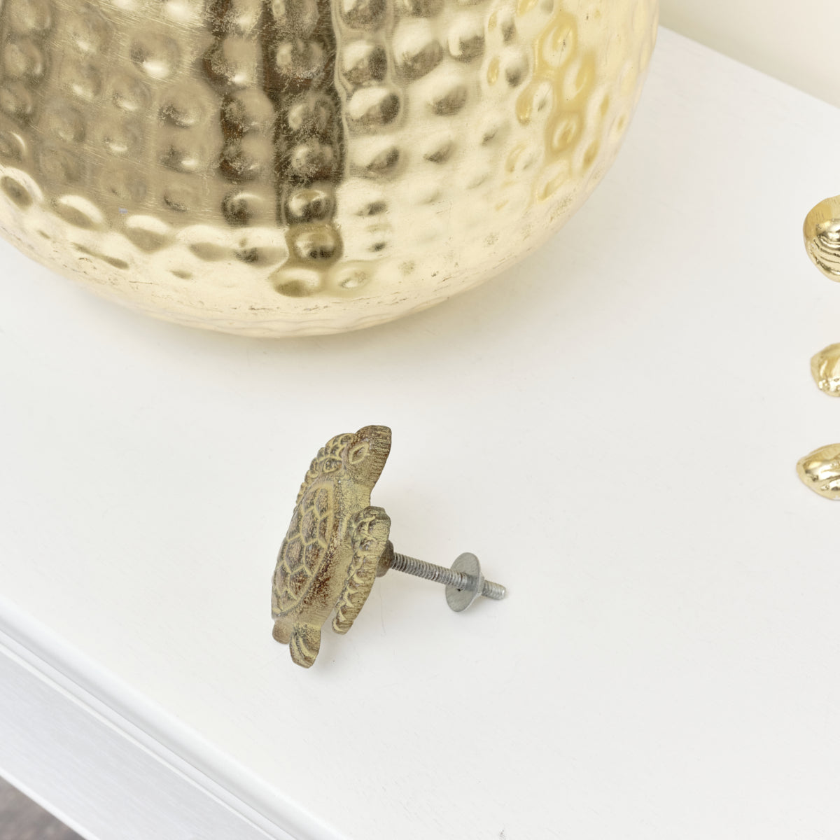 turtle drawer knob