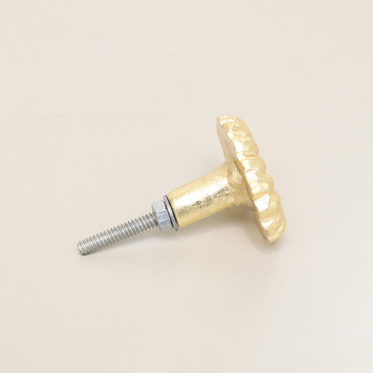 Gold Fossil Drawer Knob