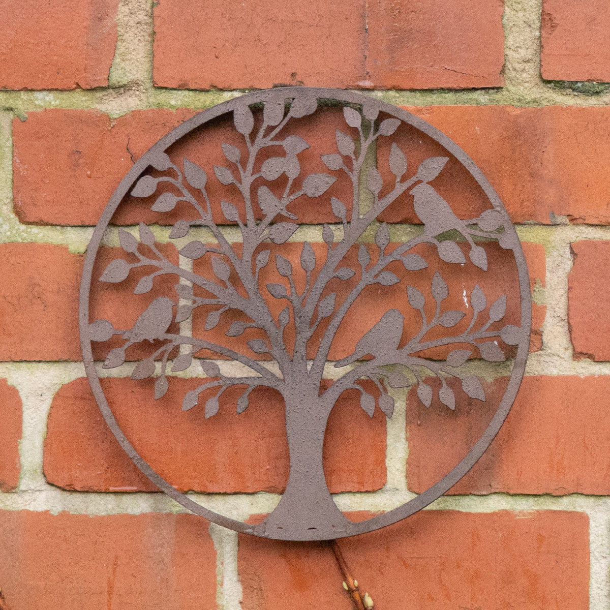 Handle Rust Tree Galvanised Rust Tree Detail Garden Wall Art - 30cm – Windsor Browne
