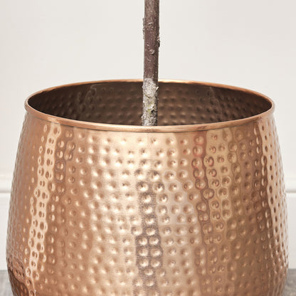 hammered copper plant pot Copper Hammered Metal Planter – Windsor Browne